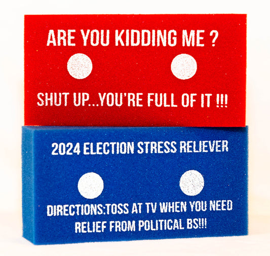 2024 Election Stress Relief Bricks (2 Pack)
